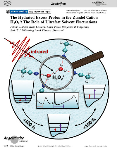Cover: The Hydrated Excess Proton in the Zundel Cation H5O2+: The Role of Ultrafast Solvent Fluctuations
